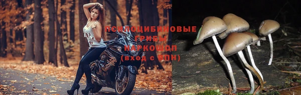 кокаин колумбия Алзамай