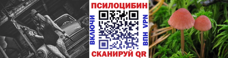 Галлюциногенные грибы прущие грибы  ОМГ ОМГ ТОР  Бабушкин  закладки 